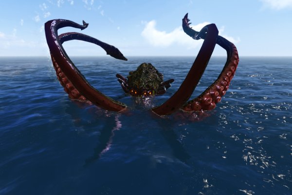 Kraken forum