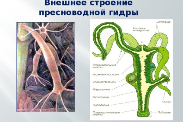 Как войти в кракен через тор